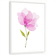 framed-print-white-white-border