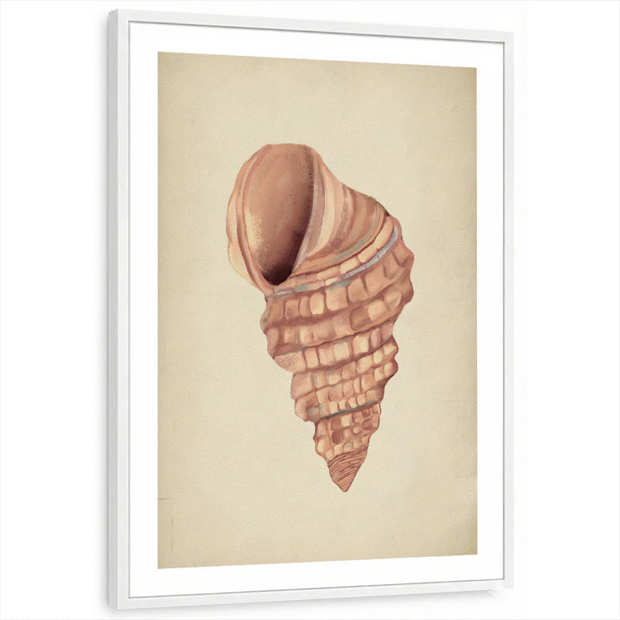 framed-print-white-white-border