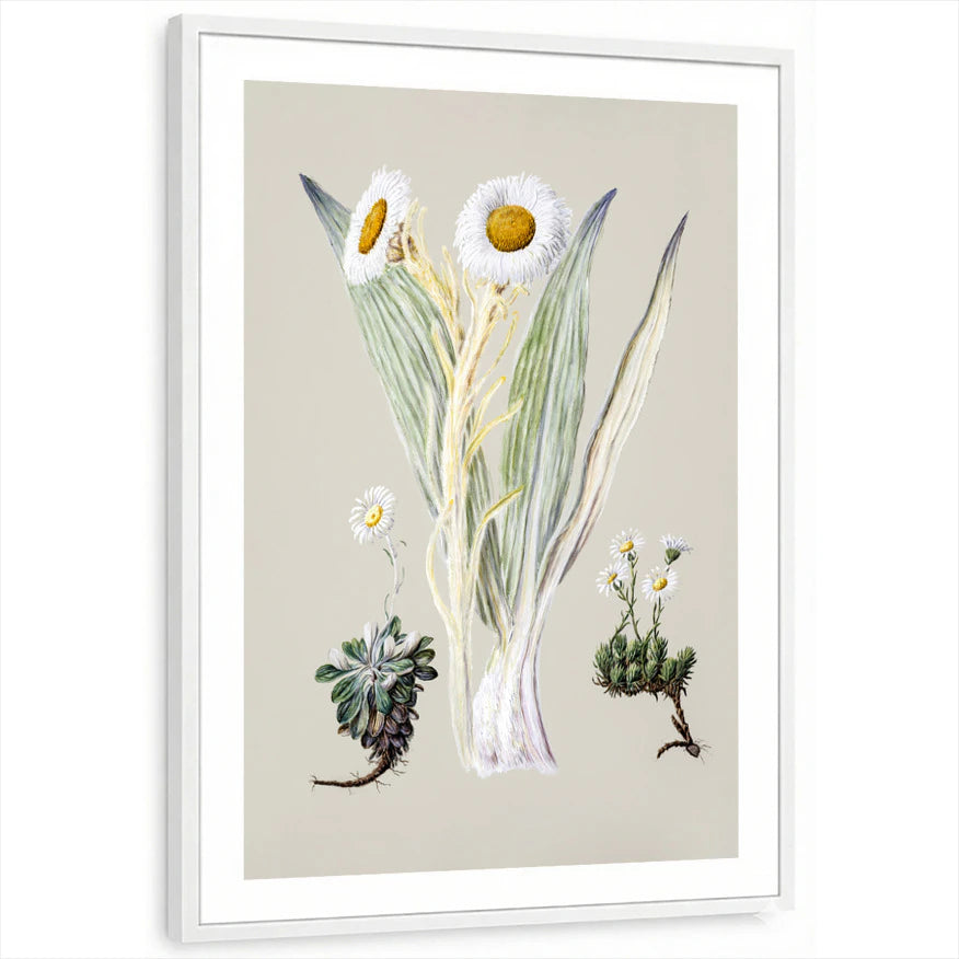framed-print-white-white-border