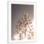 framed-print-white-white-border