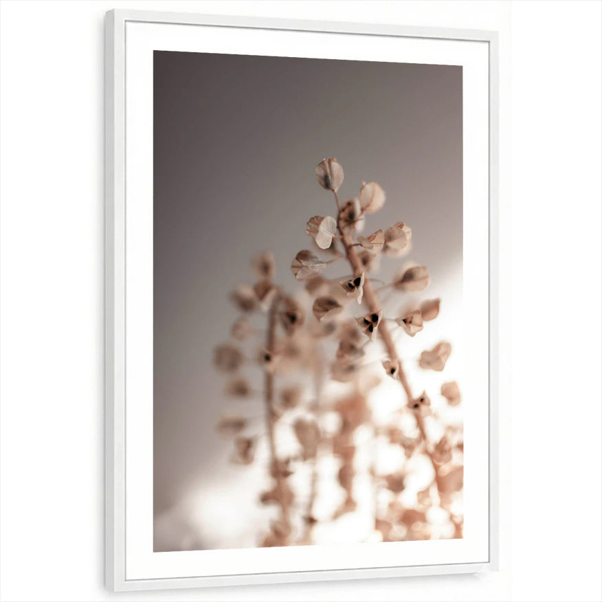 framed-print-white-white-border