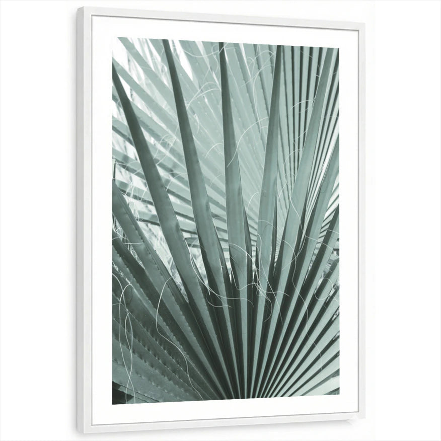 framed-print-white-white-border