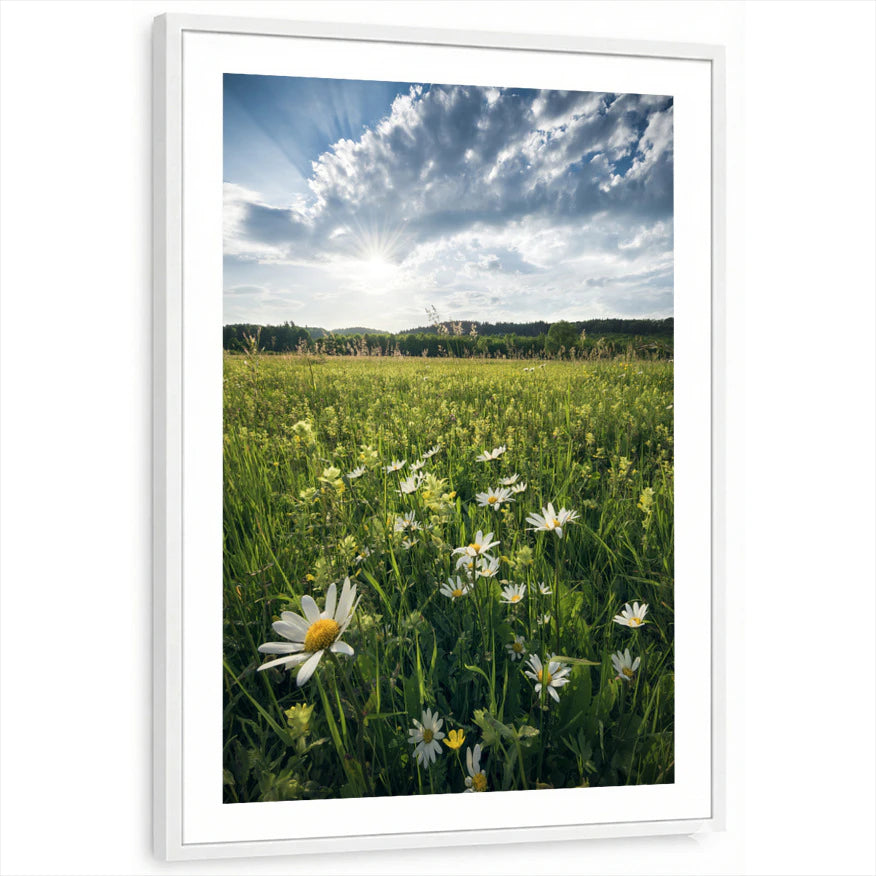 framed-print-white-white-border