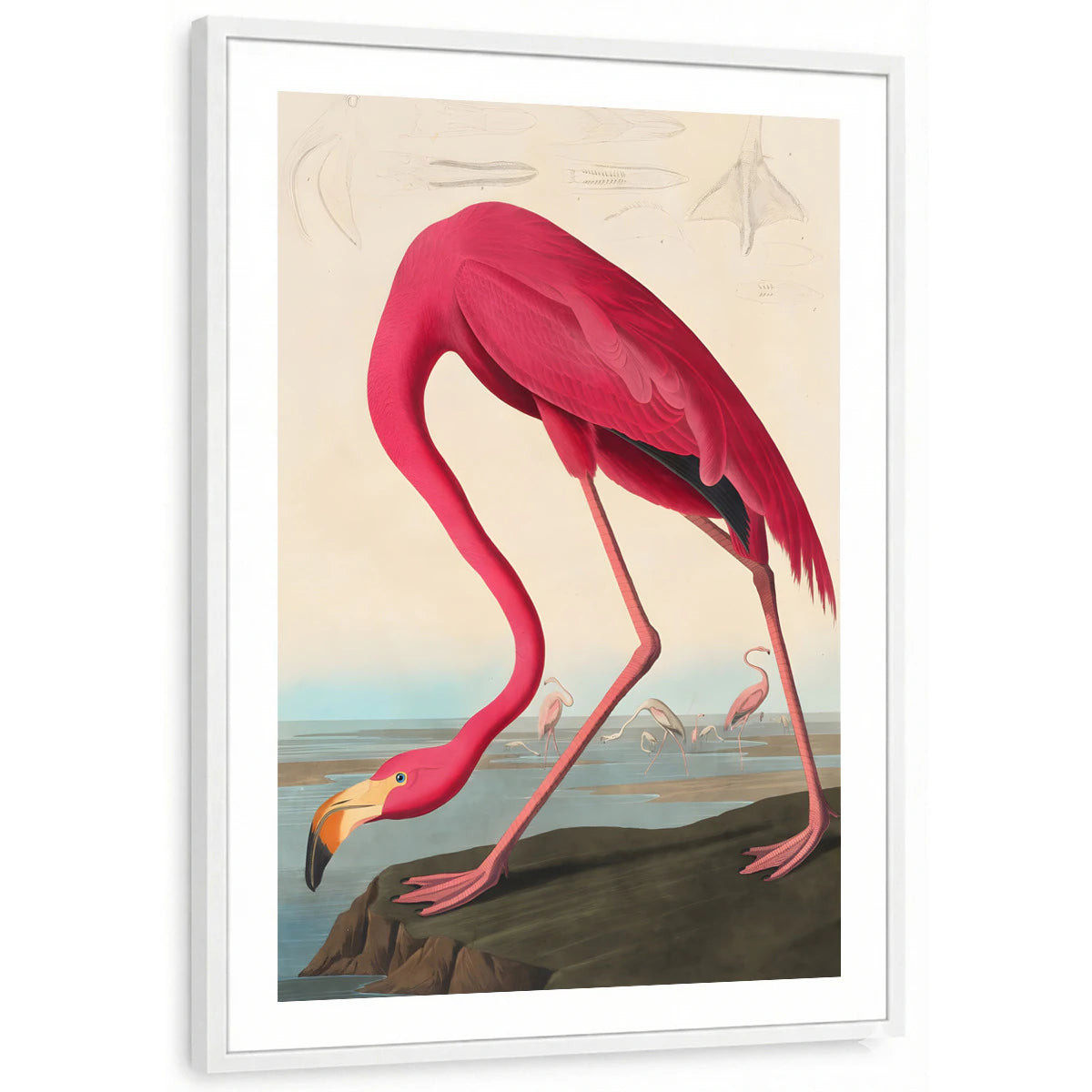 framed-print-white-white-border