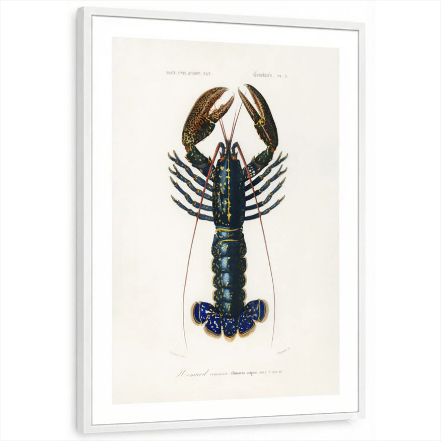 framed-print-white-white-border