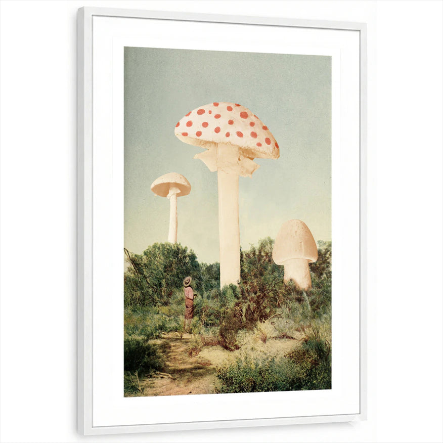framed-print-white-white-border