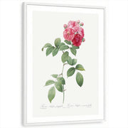 framed-print-white-white-border