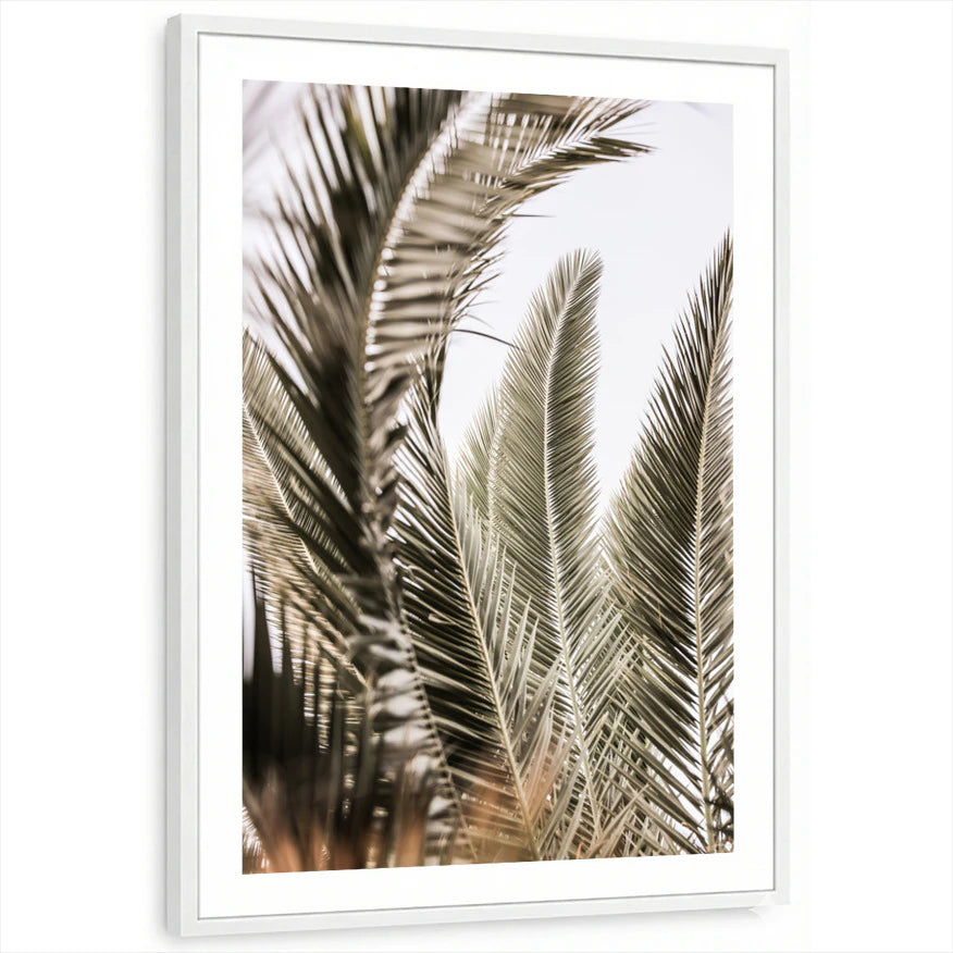framed-print-white-white-border