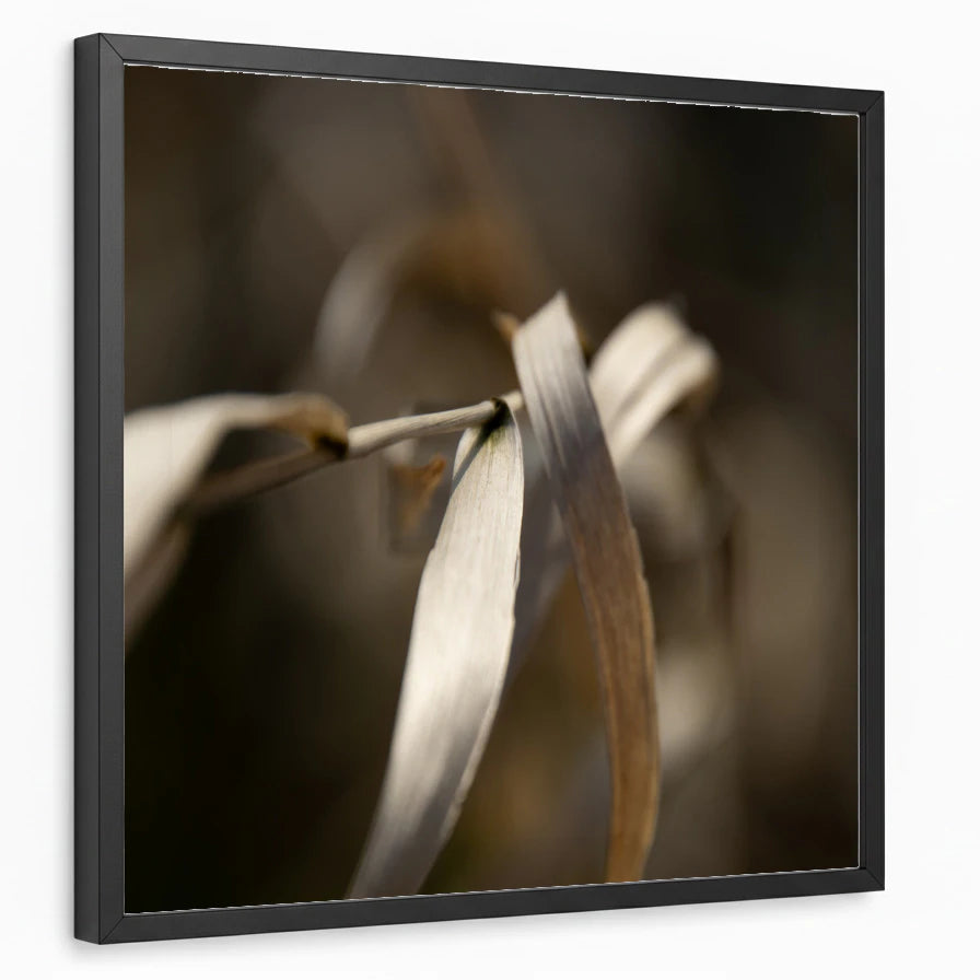 framed-print-black-standard
