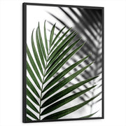 framed-print-black-standard