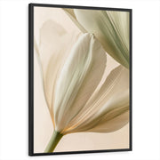 framed-print-black-standard