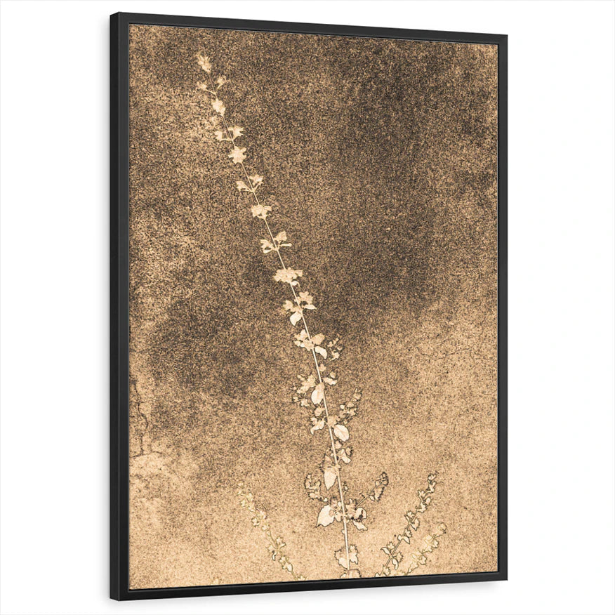 framed-print-black-standard