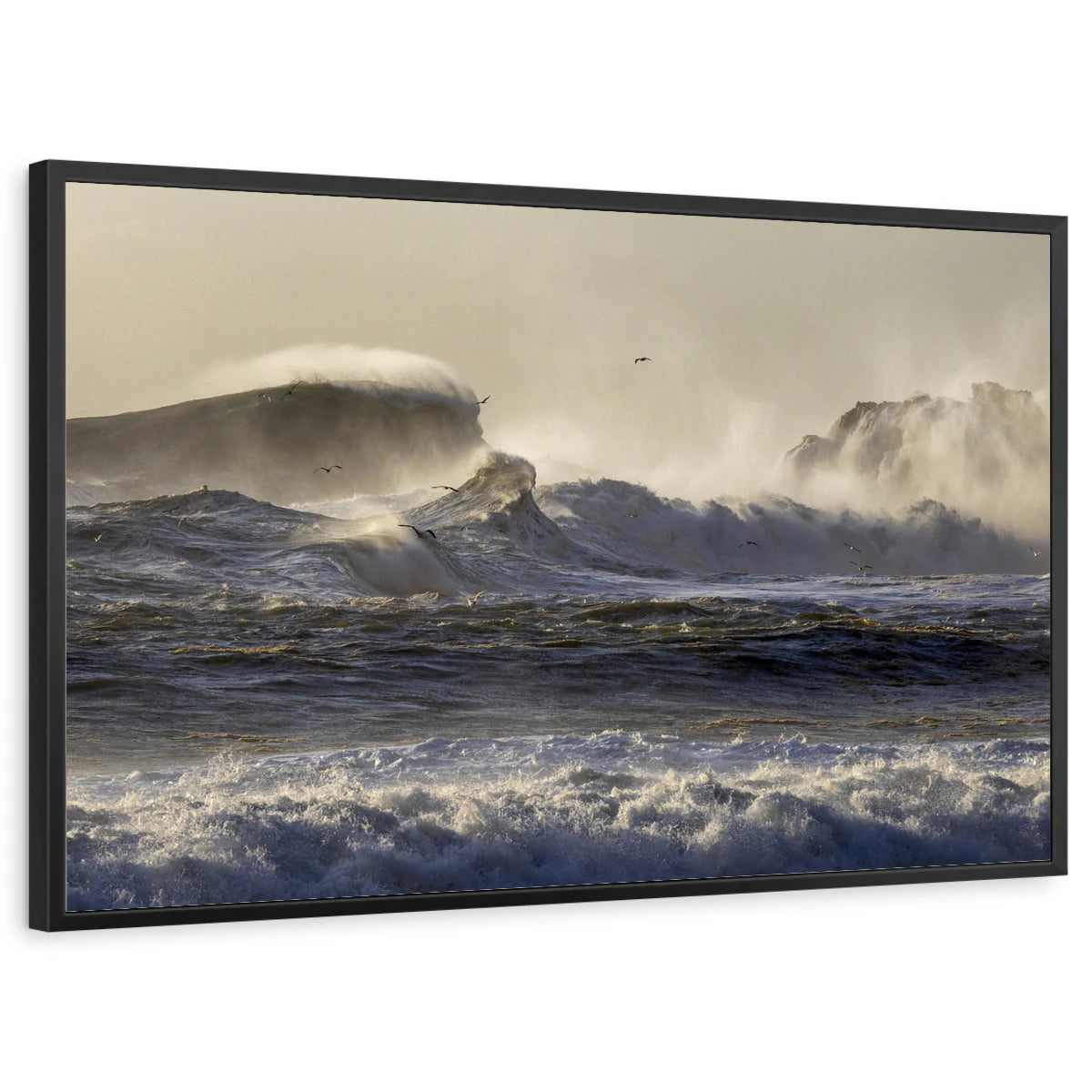 framed-print-black-standard