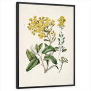 framed-print-black-standard