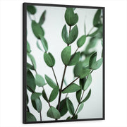 framed-print-black-standard