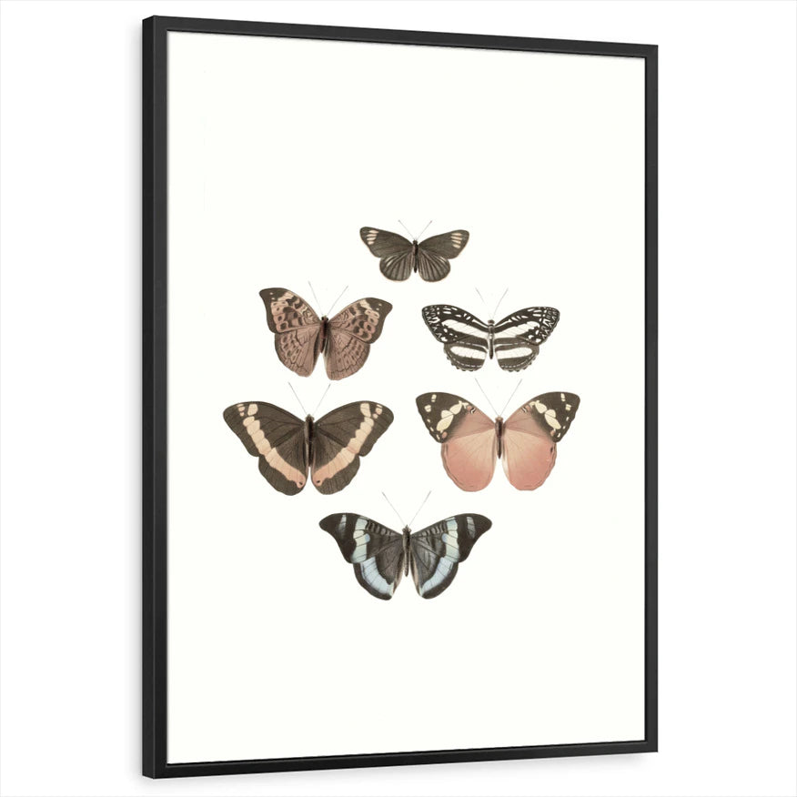 framed-print-black-standard