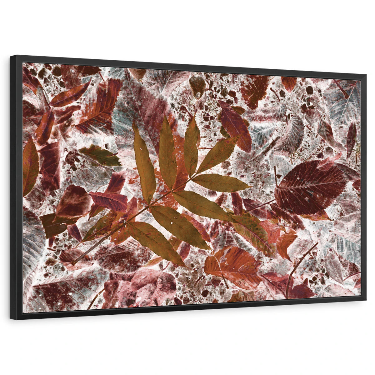 framed-print-black-standard