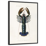 framed-print-black-standard