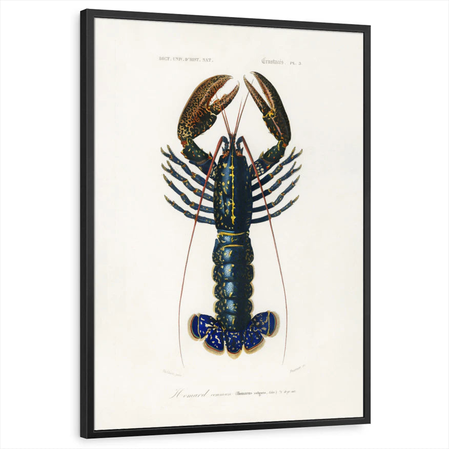 framed-print-black-standard