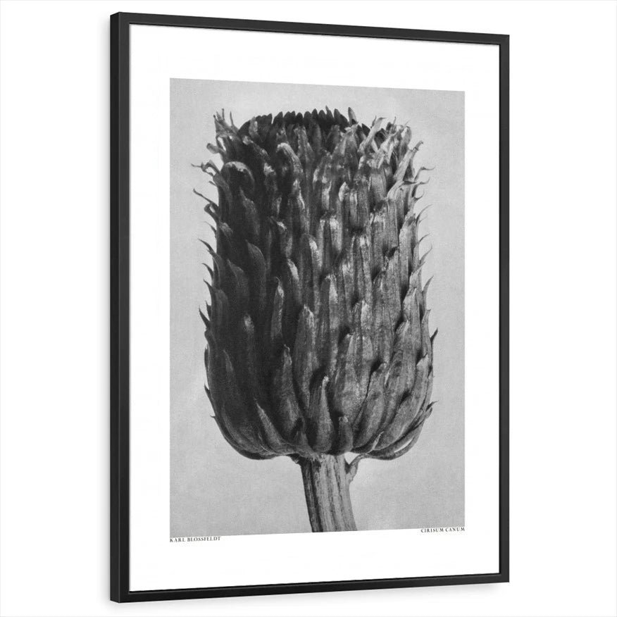 framed-print-black-standard