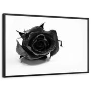 framed-print-black-standard