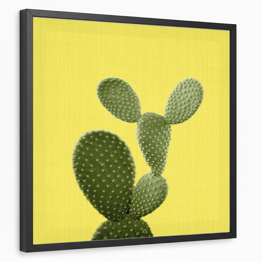 framed-print-black-standard