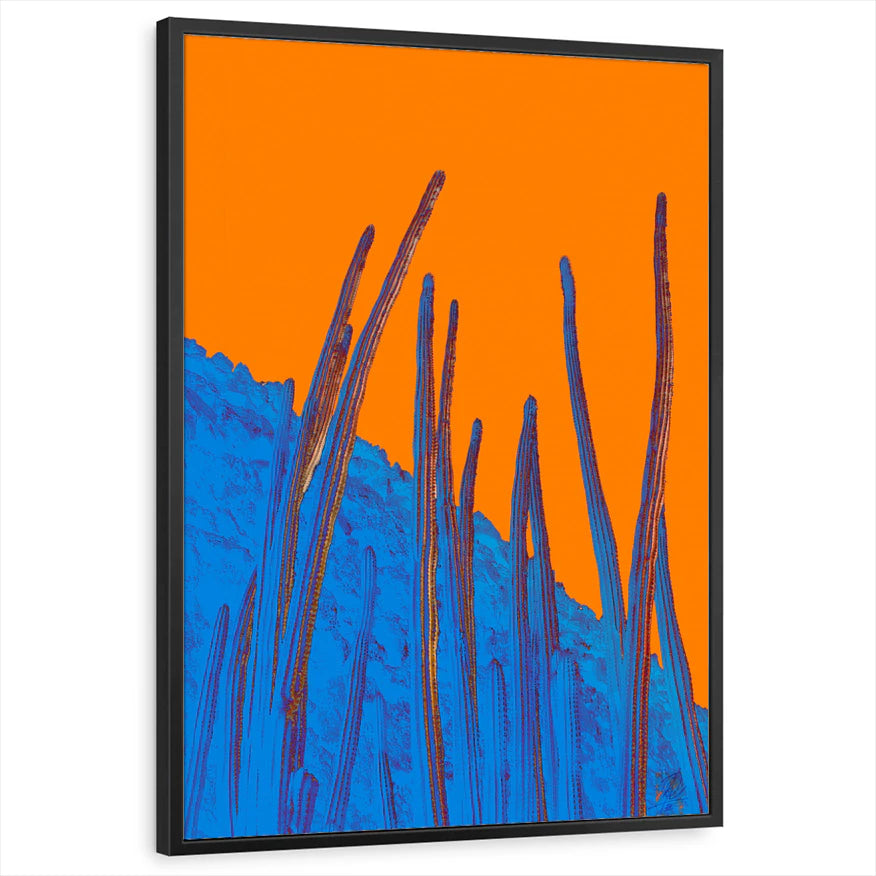 framed-print-black-standard