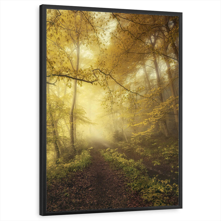 framed-print-black-standard