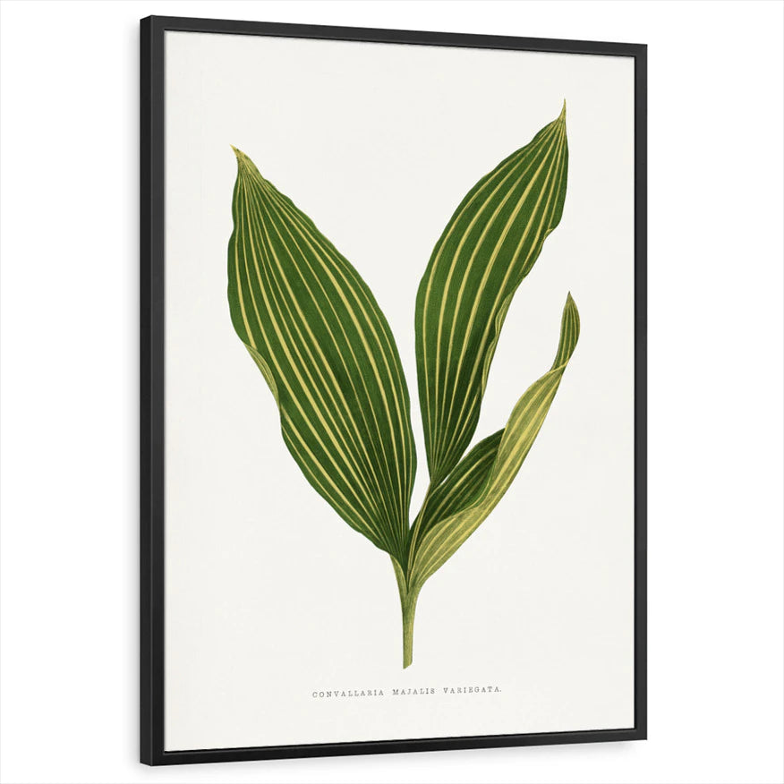 framed-print-black-standard
