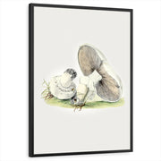 framed-print-black-standard