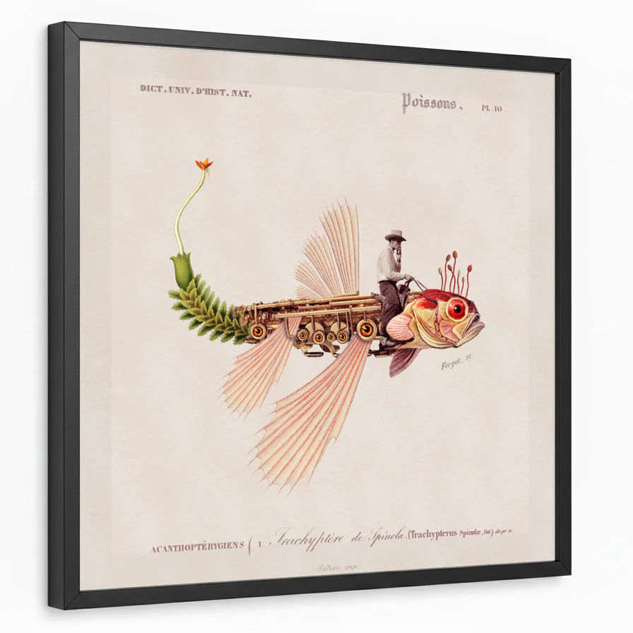 framed-print-black-standard