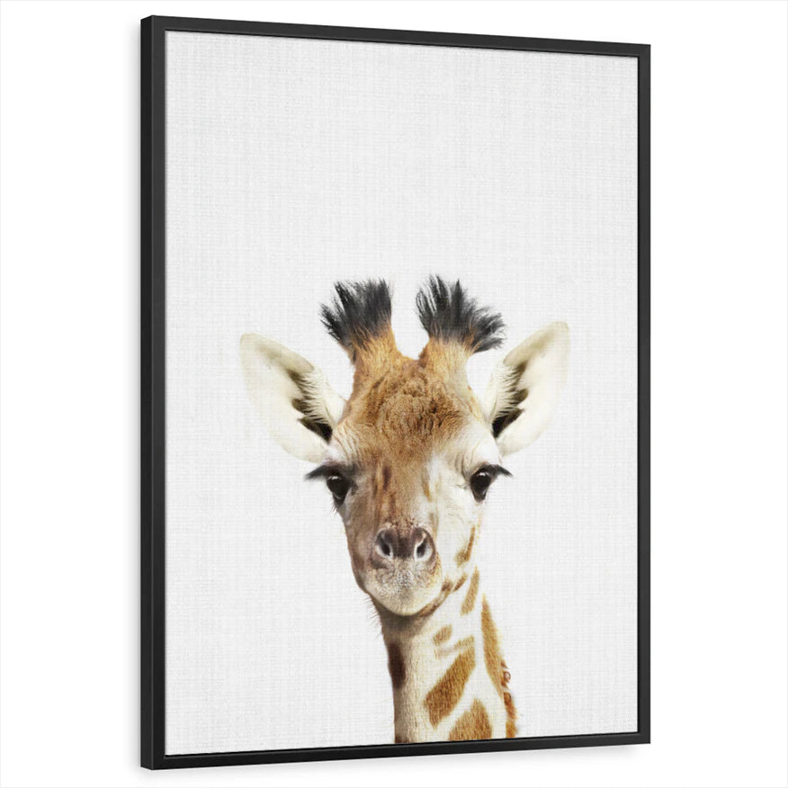 framed-print-black-standard