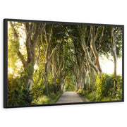 framed-print-black-standard