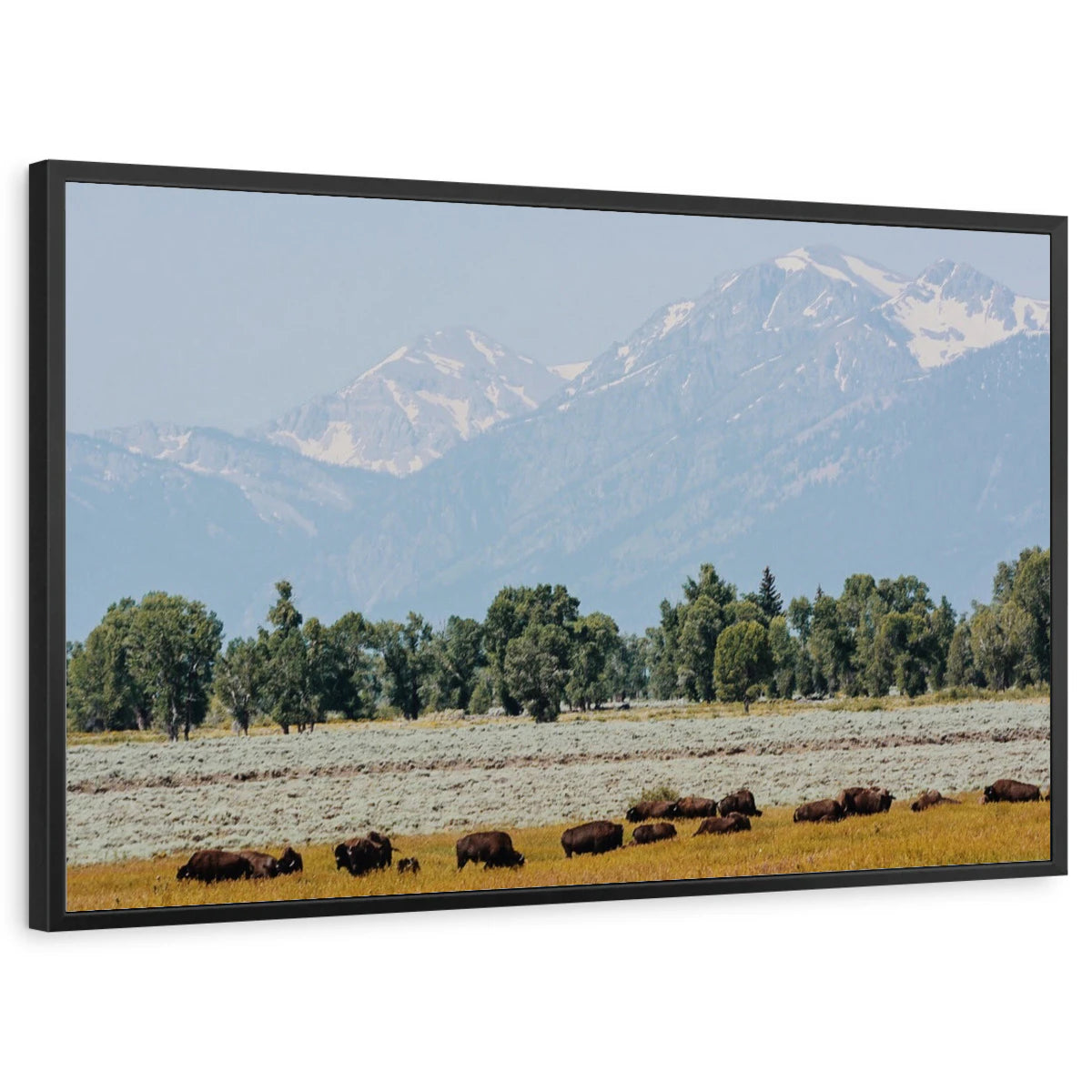 framed-print-black-standard