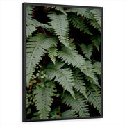 framed-print-black-standard
