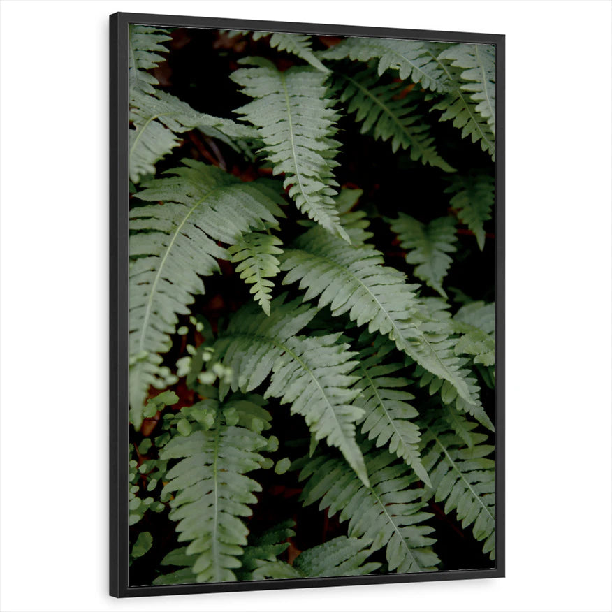framed-print-black-standard