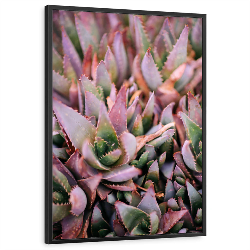 framed-print-black-standard