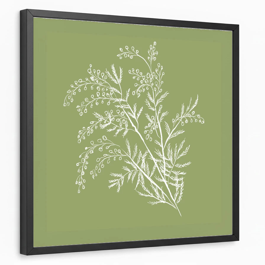 framed-print-black-standard