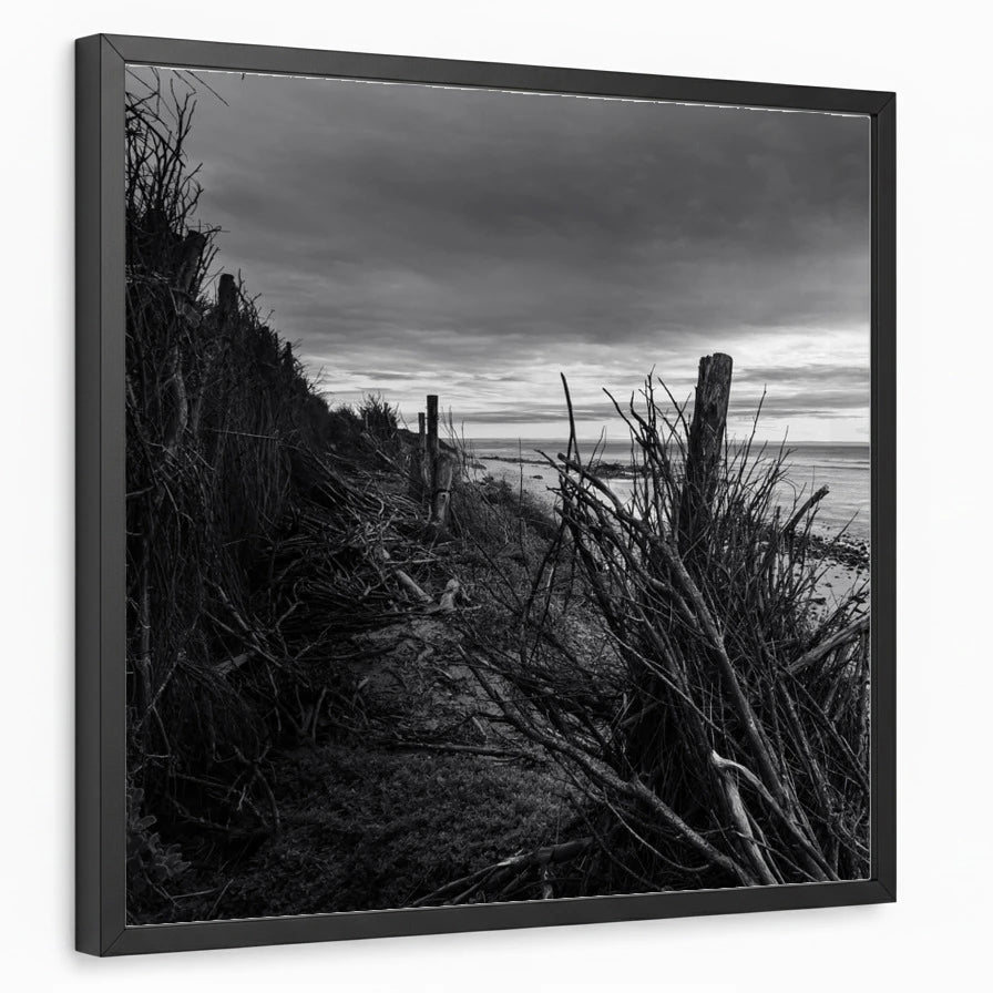 framed-print-black-standard