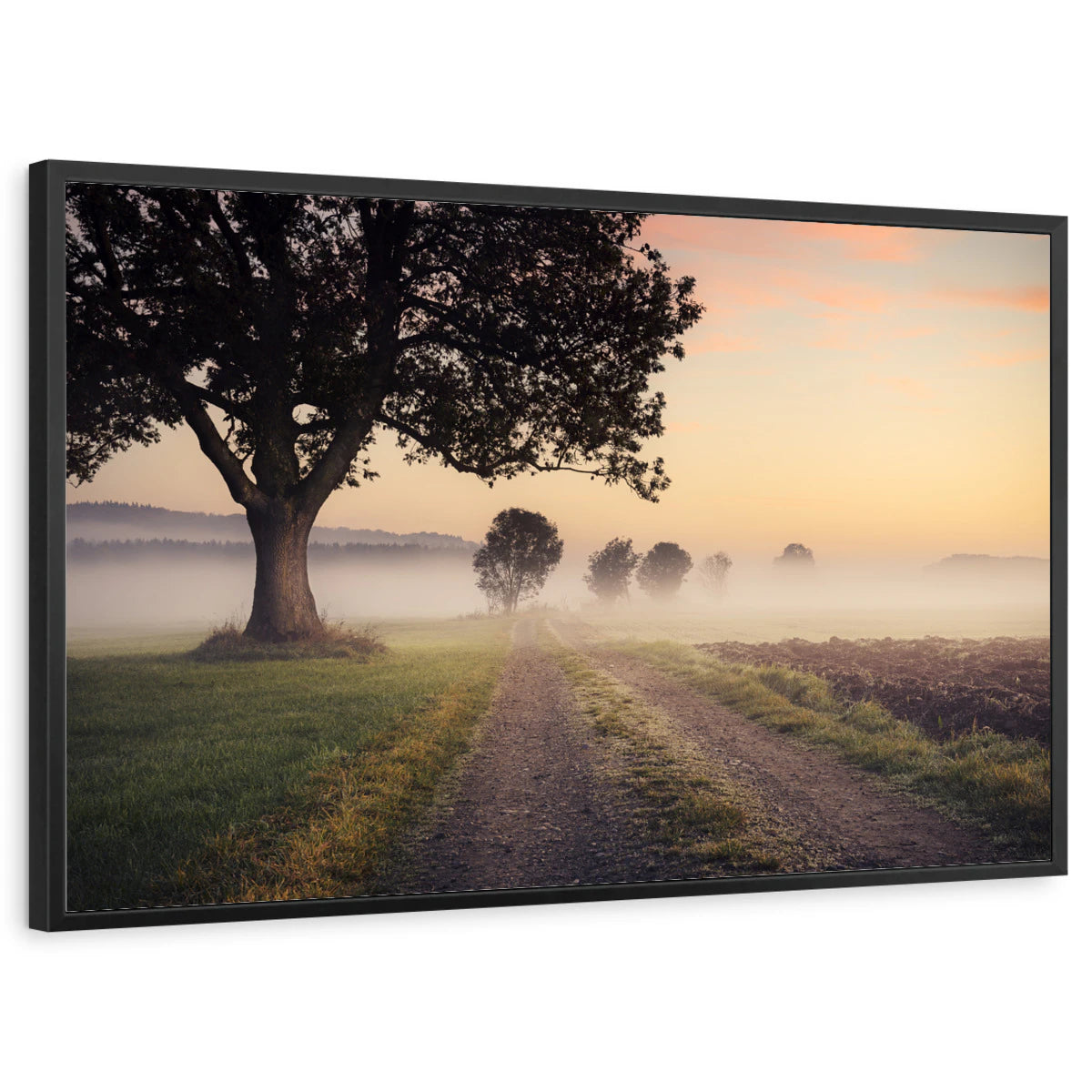 framed-print-black-standard