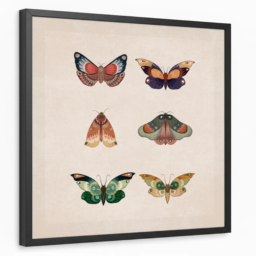 framed-print-black-standard
