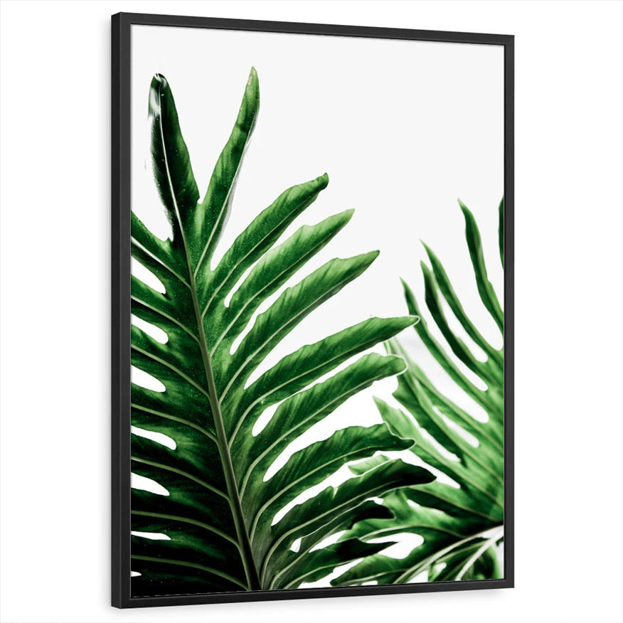 framed-print-black-standard
