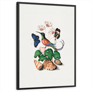 framed-print-black-standard