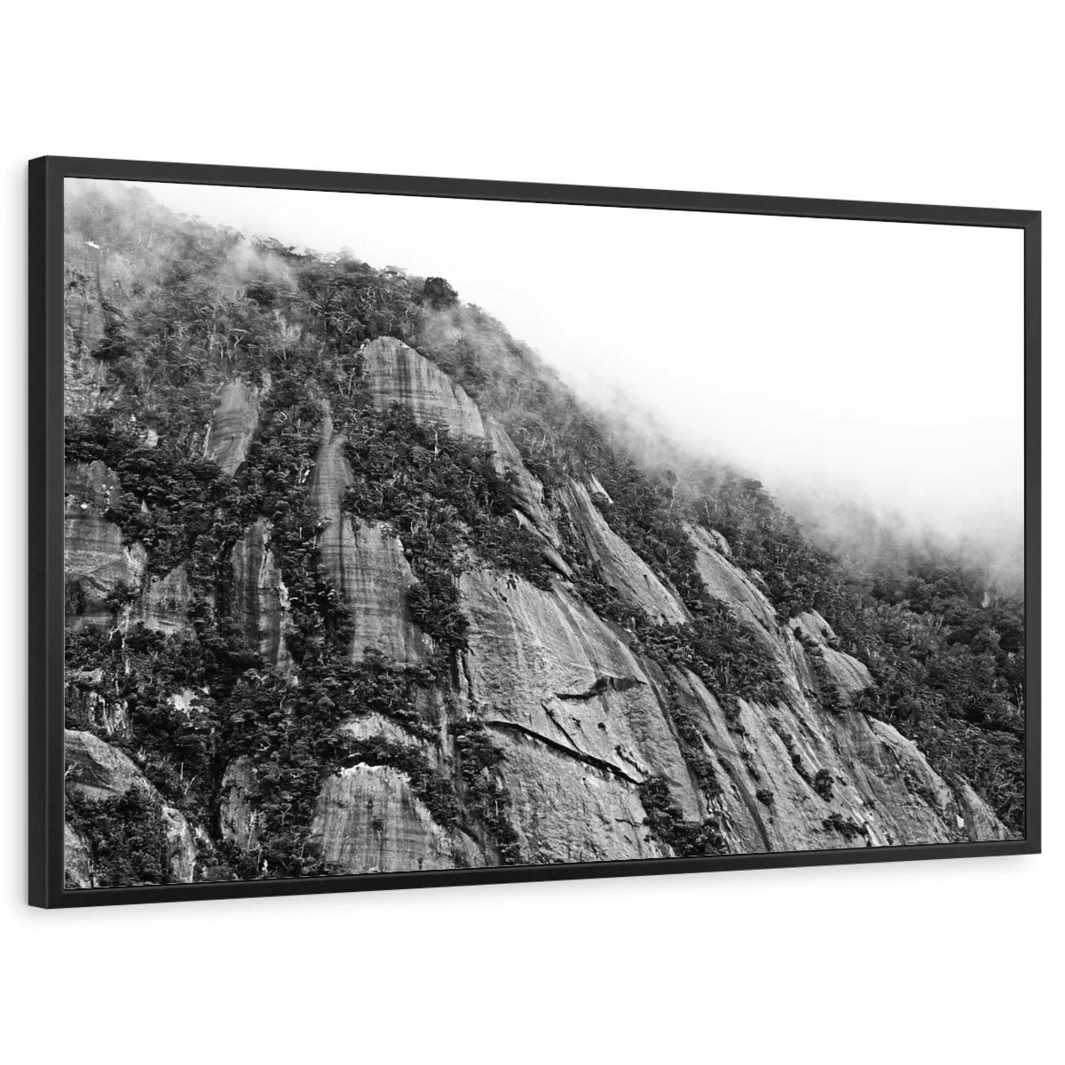 framed-print-black-standard