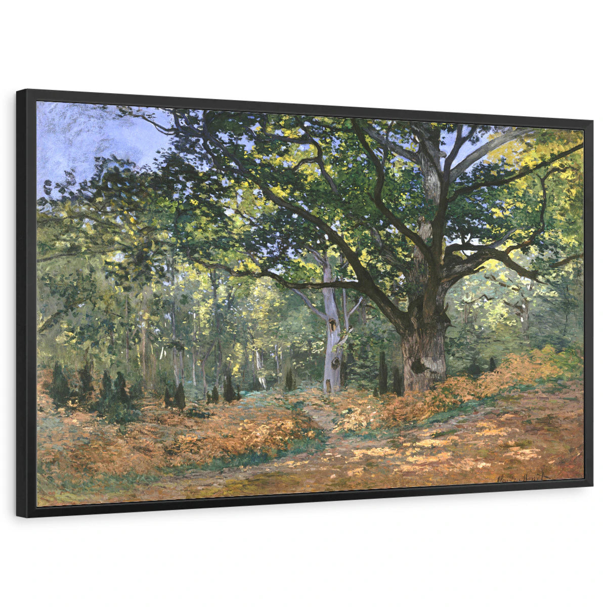 framed-print-black-standard