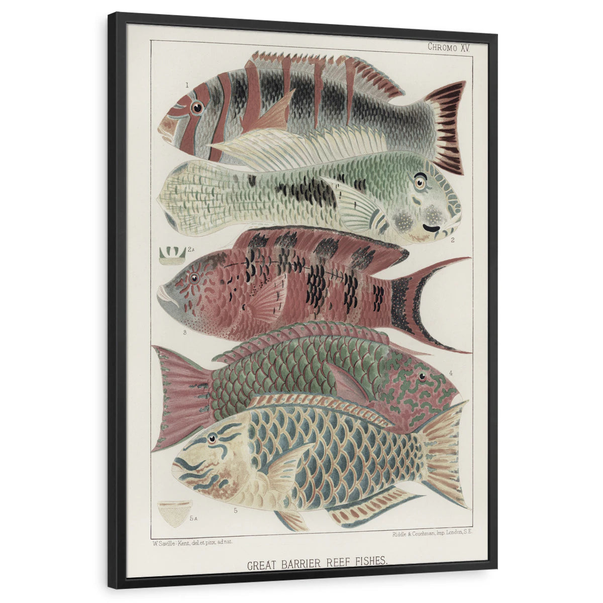 framed-print-black-standard