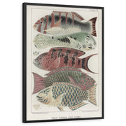 framed-print-black-standard