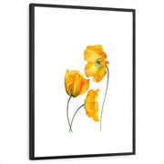 framed-print-black-standard