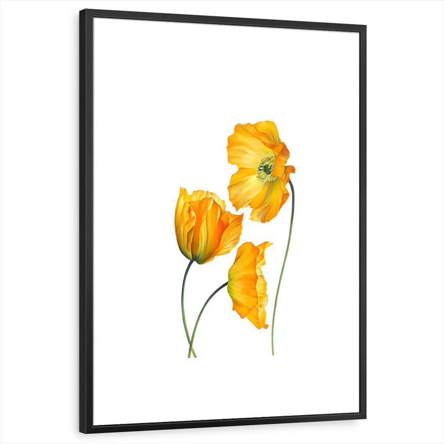 framed-print-black-standard