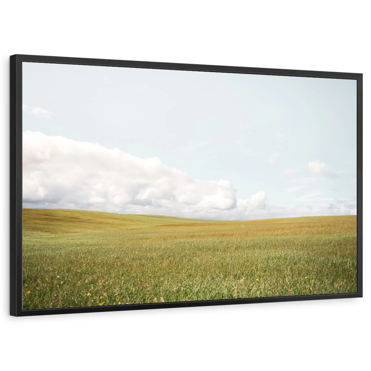 framed-print-black-standard